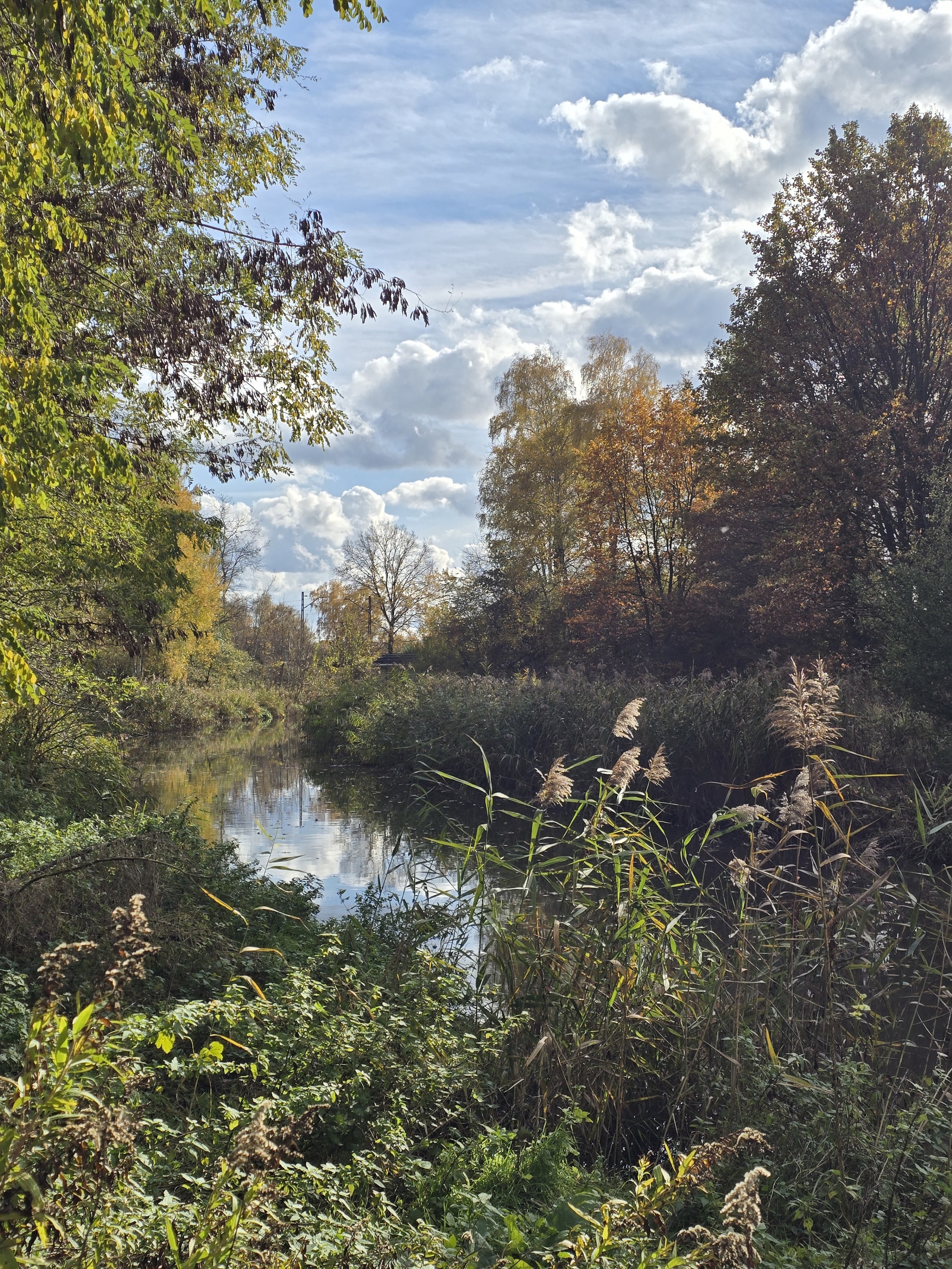Rzeka Kłodnica